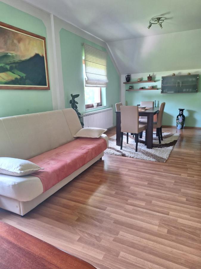 Apartman Sara Pale - Ski centar Ravna planina Exterior foto